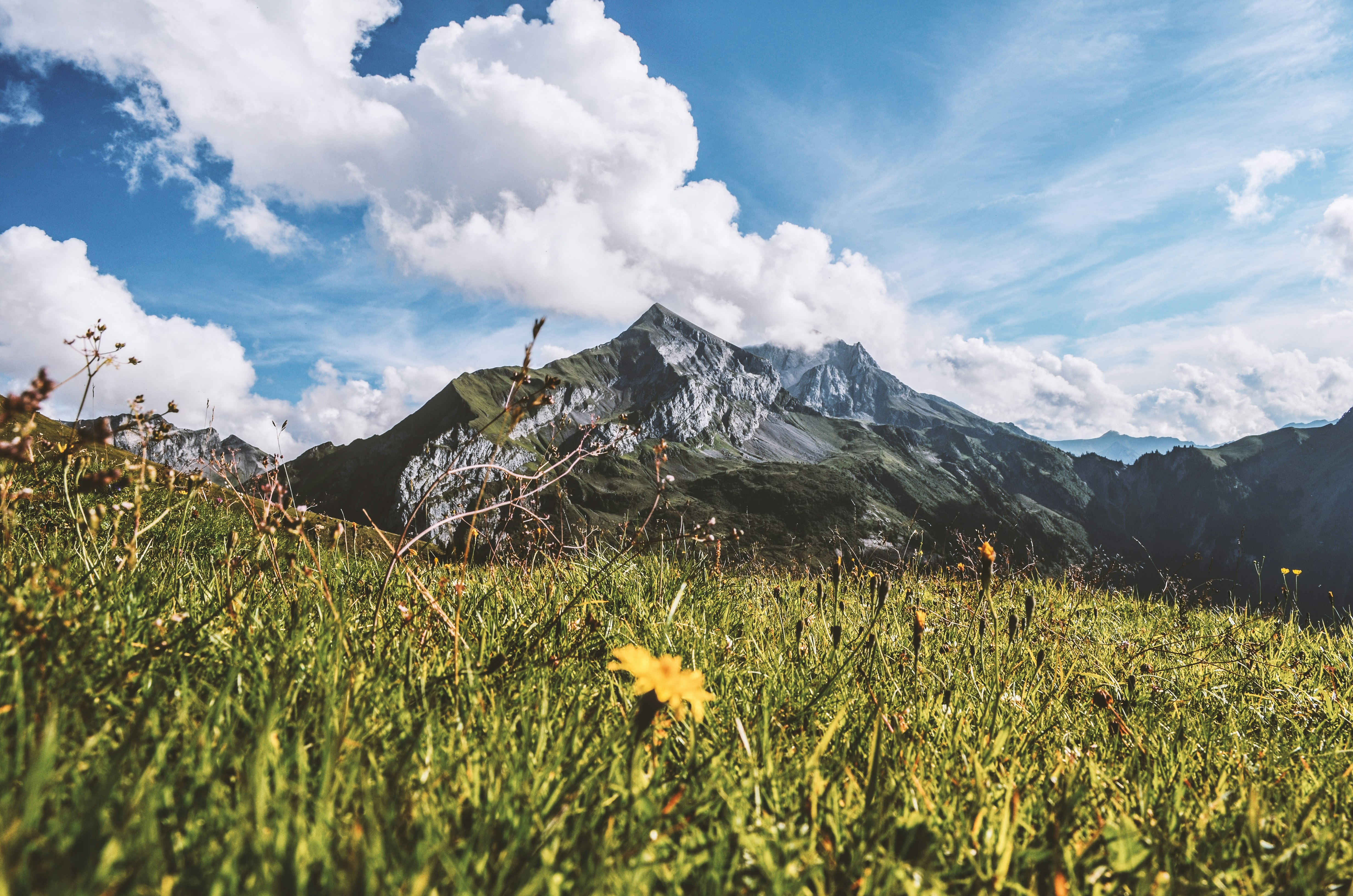 green grass field infront of mountain